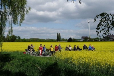 Gemischt Rad