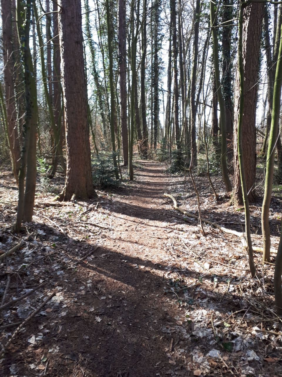 Wanderung im September