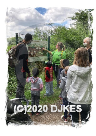 Waldrallye2020 2020djkes Wrallye 01